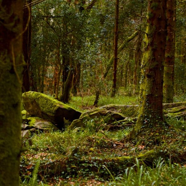 Reeks District Ireland | Killaclohane Forest and Portal Tomb