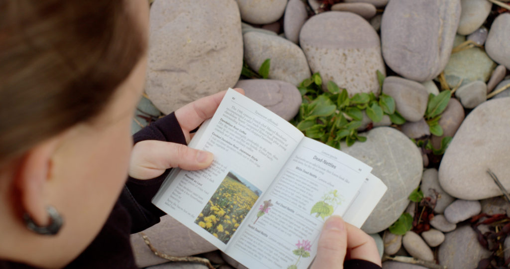 plant field guide