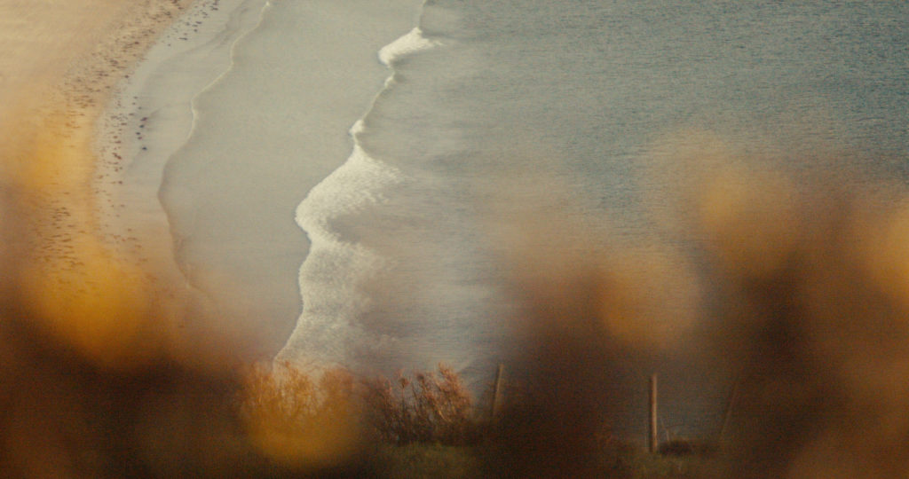 waves gorse